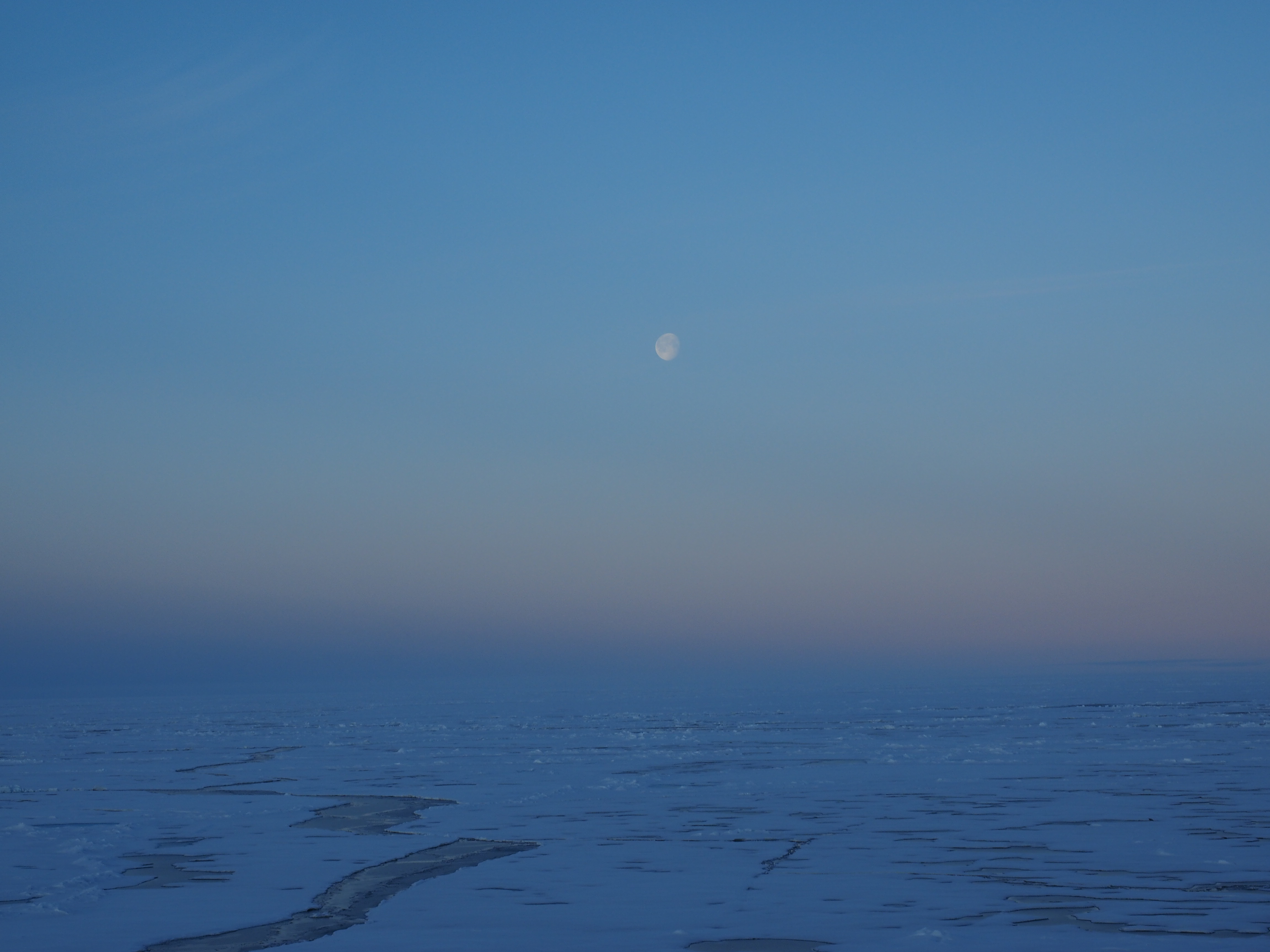 2014 북극 항해 P8131711.JPG
